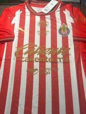 Maillot de foot Replica Dri-FIT VfL Wolfsburg 2024/25 Stadium